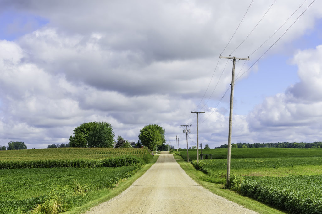 Image for Paoli, IN. Beautiful country road surrounded by green farmland fields.