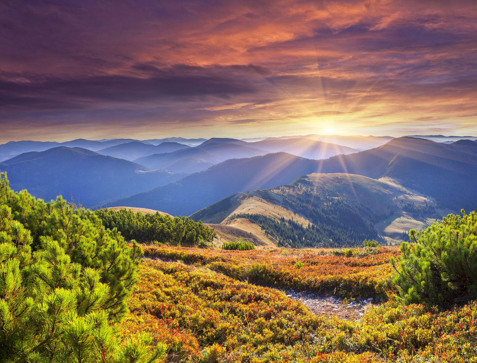 Psalm 57 – Generations